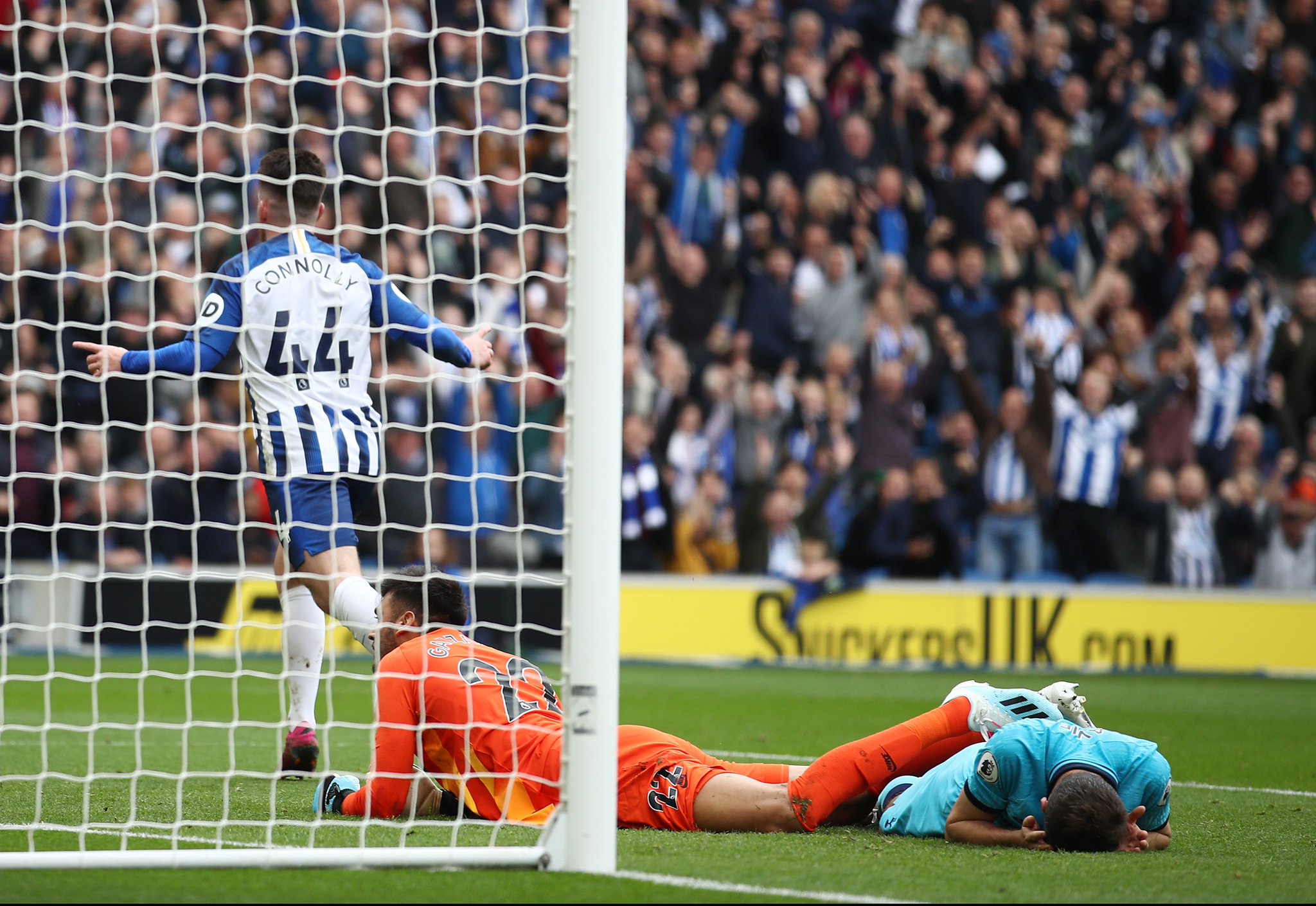 及色彩饱满 及色彩饱满