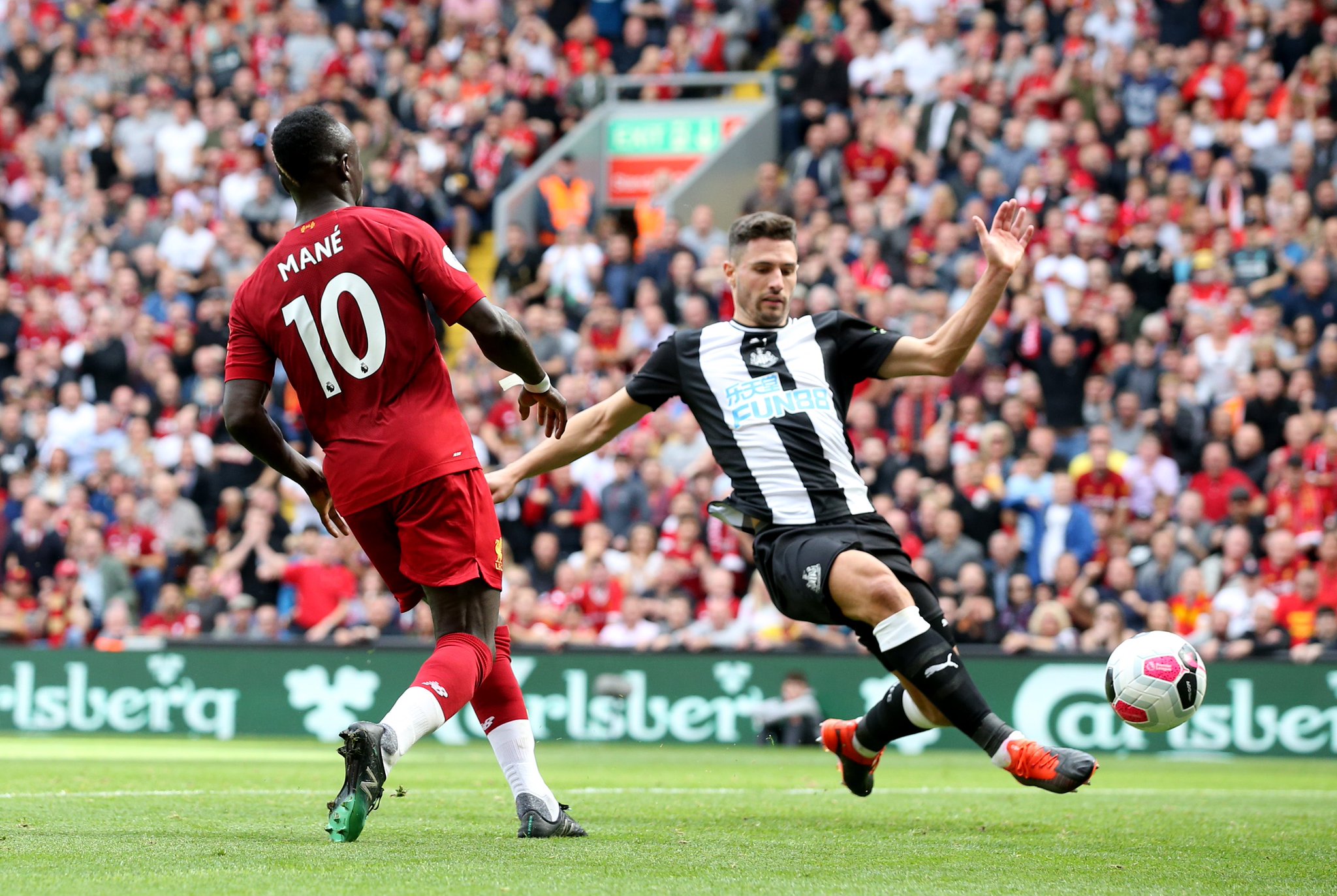 東北區域合 東北區域合